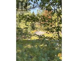 Lot Highway 10, Dalhousie, NS B0R1H0 Photo 5