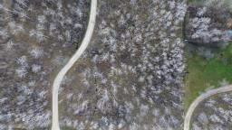 0 Loewen Boulevard, Steinbach, MB R0A0W0 Photo 4