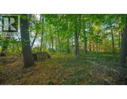 643 Gage Street, Delhi, ON N4B2G7 Photo 3