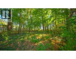 643 Gage Street, Delhi, ON N4B2G7 Photo 4