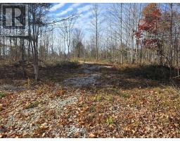 0 Dalhousie Con 8 Concession, Lanark Highlands, ON K0G1K0 Photo 2