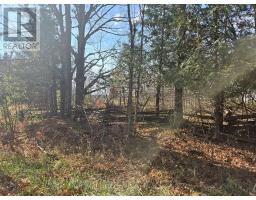 0 Dalhousie Con 8 Concession, Lanark Highlands, ON K0G1K0 Photo 3