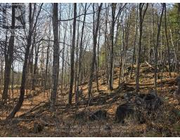 0 Dalhousie Con 8 Concession, Lanark Highlands, ON K0G1K0 Photo 4