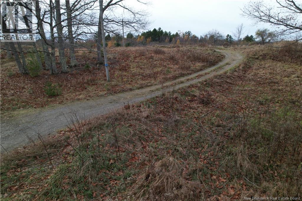 320 Upper Mills Road