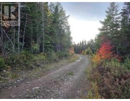 Land 104 Highway, River Bourgeois, NS B0E2X0 Photo 2