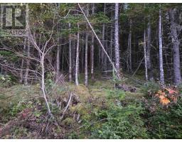 Land 104 Highway, River Bourgeois, NS B0E2X0 Photo 3