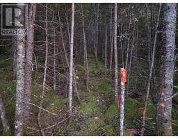 Land 104 Highway, River Bourgeois, NS B0E2X0 Photo 5