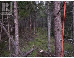 Land 104 Highway, River Bourgeois, NS B0E2X0 Photo 4