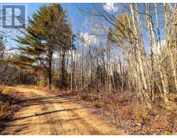 0 Weismuller Lane, Bracebridge, ON P1P1R3 Photo 2