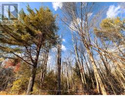 0 Weismuller Lane, Bracebridge, ON P1P1R3 Photo 3