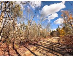 0 Weismuller Lane, Bracebridge, ON P1P1R3 Photo 4