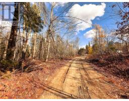 0 Weismuller Lane, Bracebridge, ON P1P1R3 Photo 5