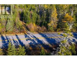 Lot 2025 R East Chezzetcook, East Chezzetcook, NS B0J2L0 Photo 4