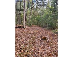 00000 Ril Lake Road, Lake Of Bays, ON P0B1A0 Photo 2