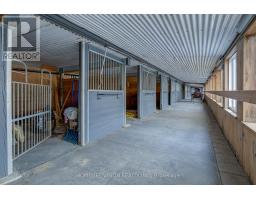 180 Courtland Street, Ramara, ON L3V6H7 Photo 5