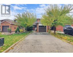Kitchen - 8 Stephensen Court, Brampton, ON L6V3X8 Photo 3
