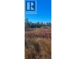 1 3 Acres Route 113, Miscou, NB E8T1C7 Photo 2