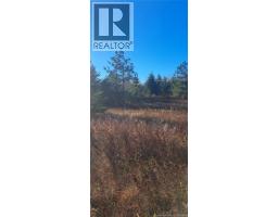 1 3 Acres Route 113, Miscou, NB E8T1C7 Photo 4