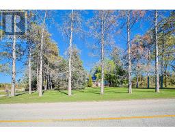 Bedroom 2 - 7423 Concession 3 Road, Adjalatosorontio, ON L0M1M0 Photo 2