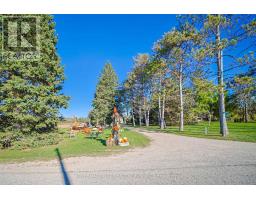 Bedroom 4 - 7423 Concession 3 Road, Adjalatosorontio, ON L0M1M0 Photo 4