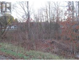 0 Fisher Street N, Mcnab Braeside, ON K0A3L0 Photo 3