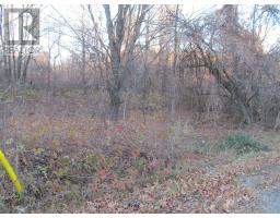 0 Fisher Street N, Mcnab Braeside, ON K0A3L0 Photo 4