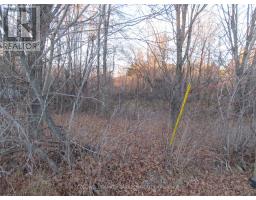 0 Fisher Street N, Mcnab Braeside, ON K0A3L0 Photo 5