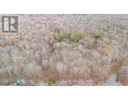 Part 19 Standing People Road, Seguin, ON P2A2W8 Photo 5