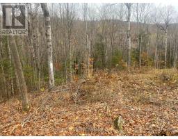 0 Snow Road, Bancroft, ON K0L1C0 Photo 4