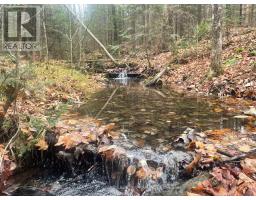 0 Snow Road, Bancroft, ON K0L1C0 Photo 2