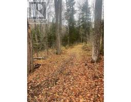 0 Snow Road, Bancroft, ON K0L1C0 Photo 3