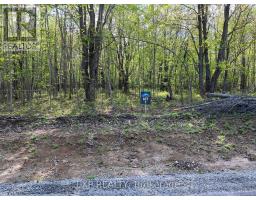 Lot 7 Casson Trail, Madawaska Valley, ON K0J1B0 Photo 2