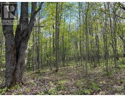 Lot 7 Casson Trail, Madawaska Valley, ON K0J1B0 Photo 3