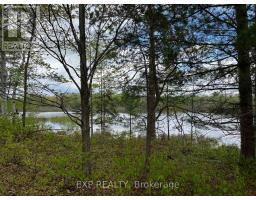 Lot 9 Casson Trail, Madawaska Valley, ON K0J1B0 Photo 3