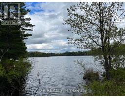Lot 9 Casson Trail, Madawaska Valley, ON K0J1B0 Photo 4