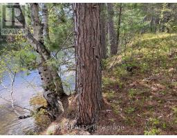 Lot 37 Sandy Shores Trail, Madawaska Valley, ON K0J1B0 Photo 4