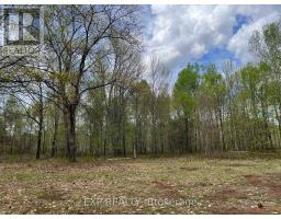 Lot 37 Sandy Shores Trail, Madawaska Valley, ON K0J1B0 Photo 5