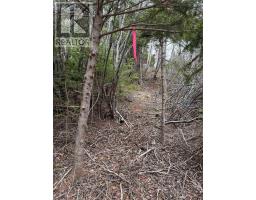 0 16 Highway, Peas Brook, NS B0H1N0 Photo 2