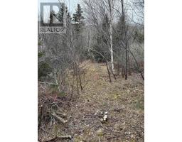 0 16 Highway, Peas Brook, NS B0H1N0 Photo 4