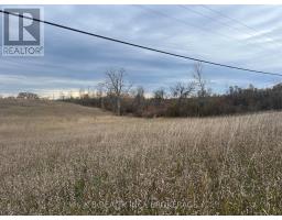 6562 County 4 Road, Stone Mills, ON K0K3G0 Photo 3