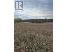 6562 County 4 Road, Stone Mills, ON K0K3G0 Photo 5
