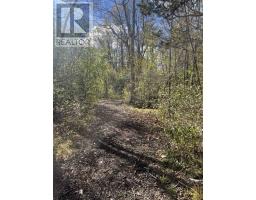 104 Cherrywood Parkway, Greater Napanee, ON K7R0B1 Photo 3