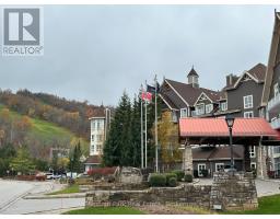 165 220 Gord Canning Drive, Blue Mountains, ON L9Y0V2 Photo 2