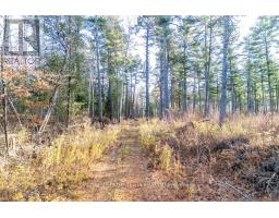 00 Wilb Con 10 Pt Lots 6 7 Rp 49 R 4865 Part 1, North Algona Wilberforce, ON K0J1T0 Photo 5