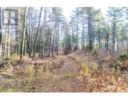 00 Wilb Con 10 Pt Lots 6 7 Rp 49 R 4865 Part 1, North Algona Wilberforce, ON K0J1T0 Photo 4