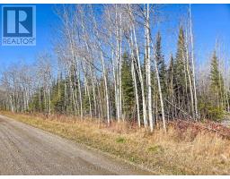 Pt 4 Cabin Road, Englehart, ON P0J1B0 Photo 2