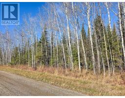 Pt 4 Cabin Road, Englehart, ON P0J1B0 Photo 3