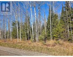 Pt 4 Cabin Road, Englehart, ON P0J1B0 Photo 4