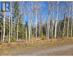 Pt 4 Cabin Road, Englehart, ON P0J1B0 Photo 5