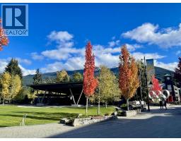 302 Wk 6 4338 Main Street, Whistler, BC V8E1B4 Photo 2